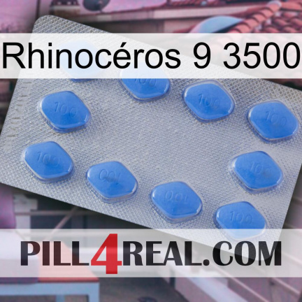 Rhinocéros 9 3500 21